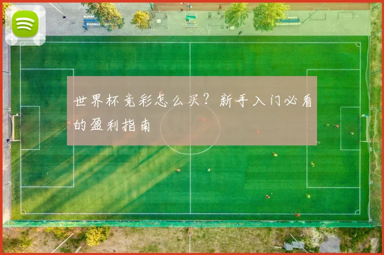 世界杯竞彩怎么买?新手入门必看的盈利指南
